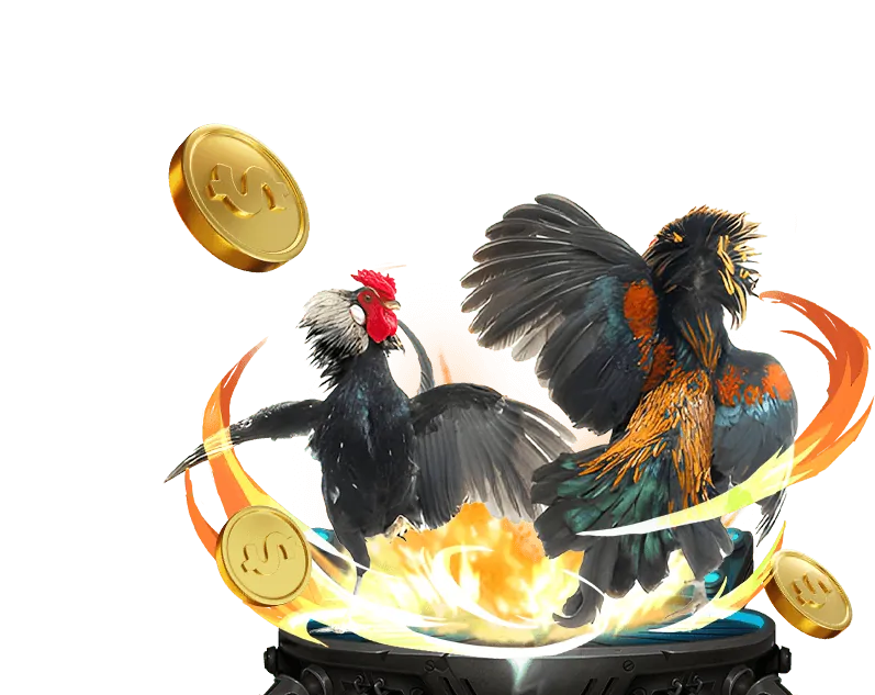 Cá cược thể thao ld789